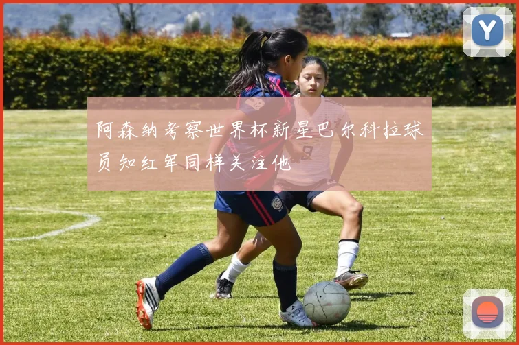 阿森纳考察世界杯新星巴尔科拉球员知红军同样关注他