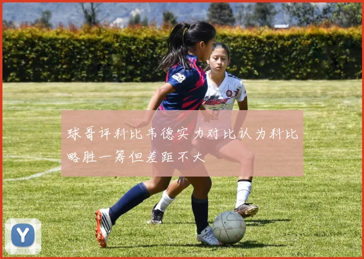球哥评科比韦德实力对比认为科比略胜一筹但差距不大